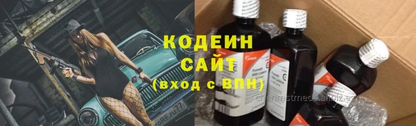 прущие грибы Гусь-Хрустальный