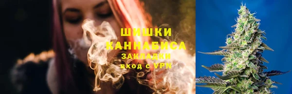 бошки Гусев