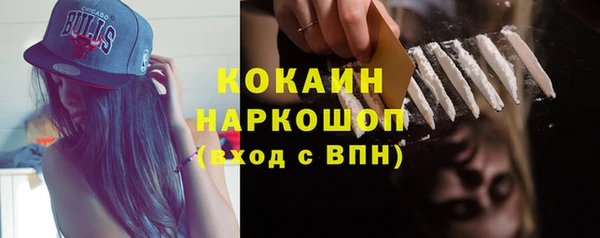 прущие грибы Гусь-Хрустальный