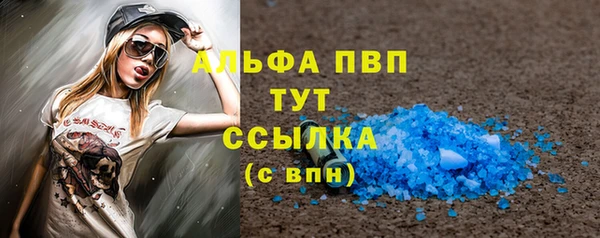 прущие грибы Гусь-Хрустальный