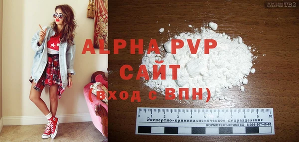 бошки Гусев