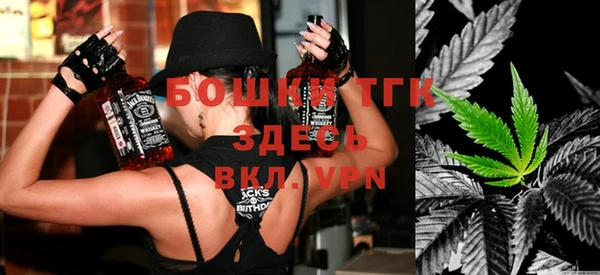 бошки Гусев
