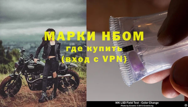 бошки Гусев