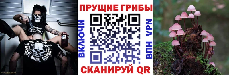 Галлюциногенные грибы GOLDEN TEACHER  Певек 